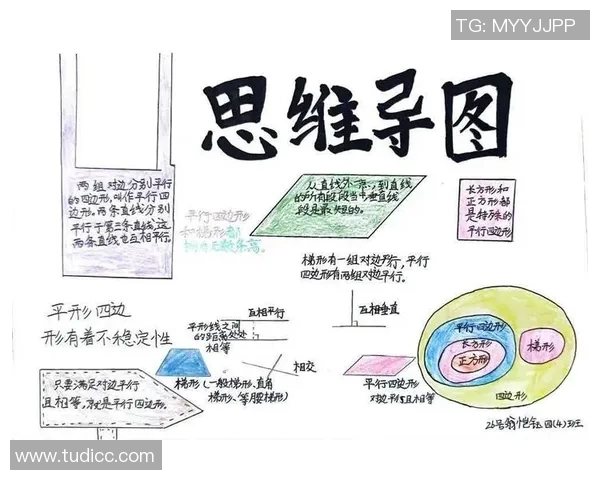 竞技体育在现代社会中的价值与意义探索：促进身心发展与社会融合的多维影响